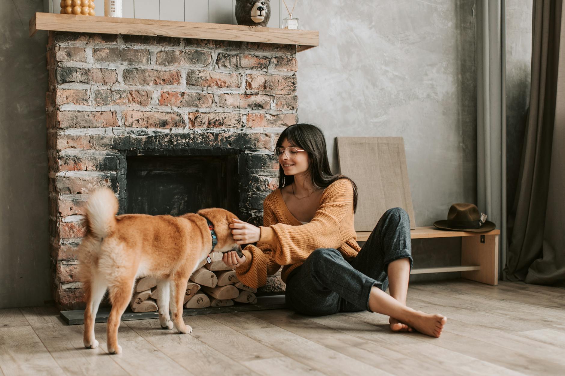 Furbo 360-Degree Dog Camera Review 2026: The Best Way to Monitor and Interact With Your Dog Remotely While You Are Away From Home