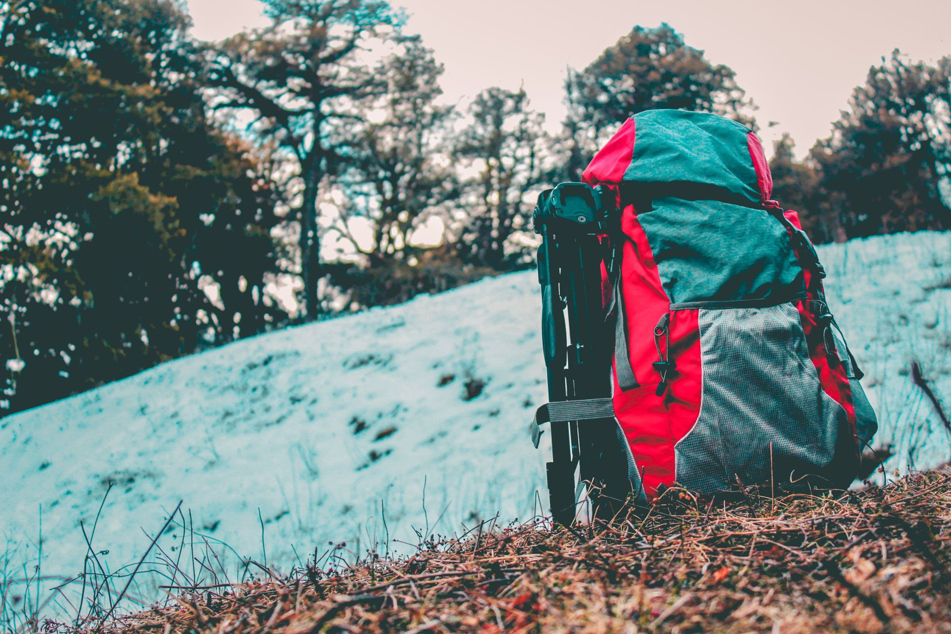 The Best Affordable Backpacking Backpacks for 2026: Under $100 Quality Gear