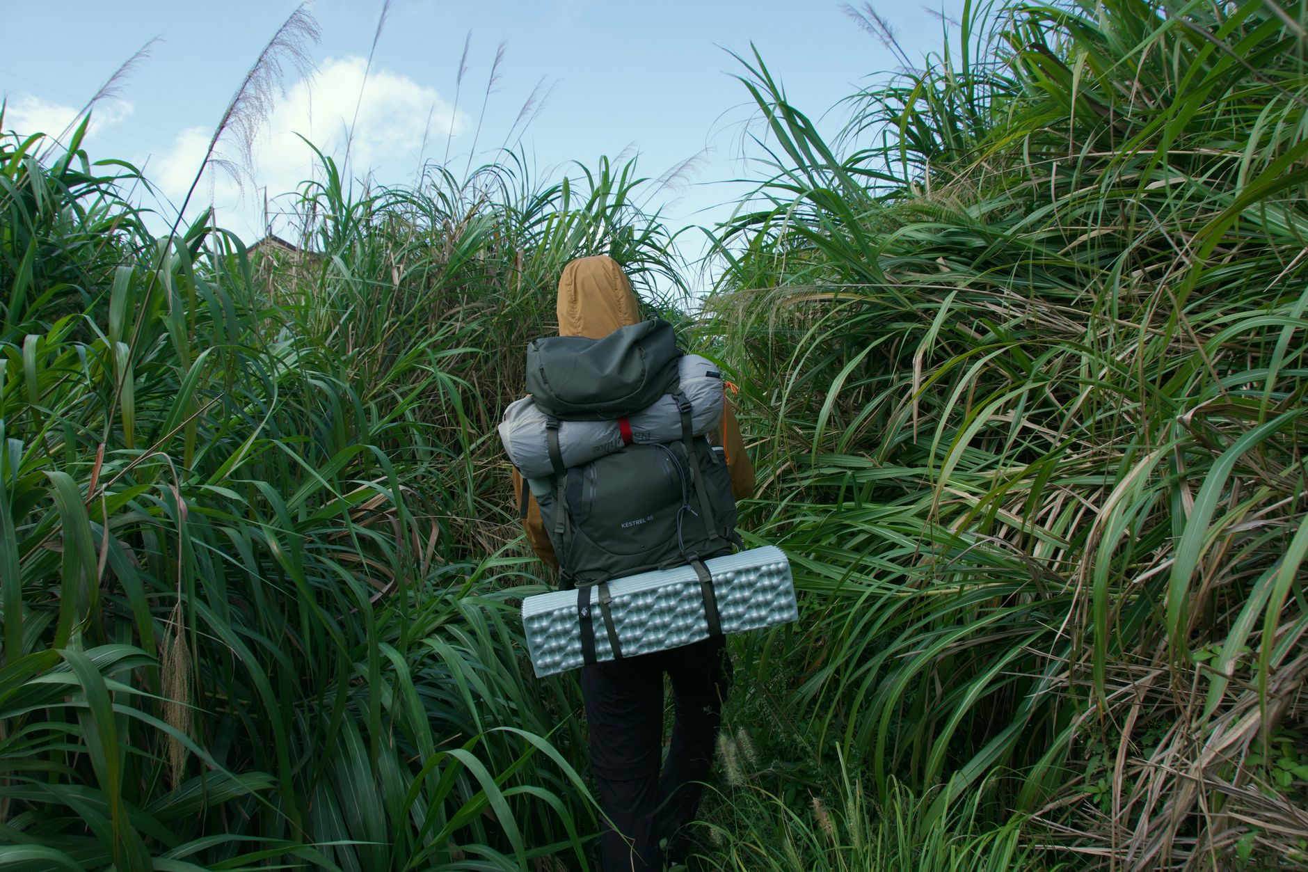 The Best 50L Backpacking Backpacks for Weekend Adventures in 2026