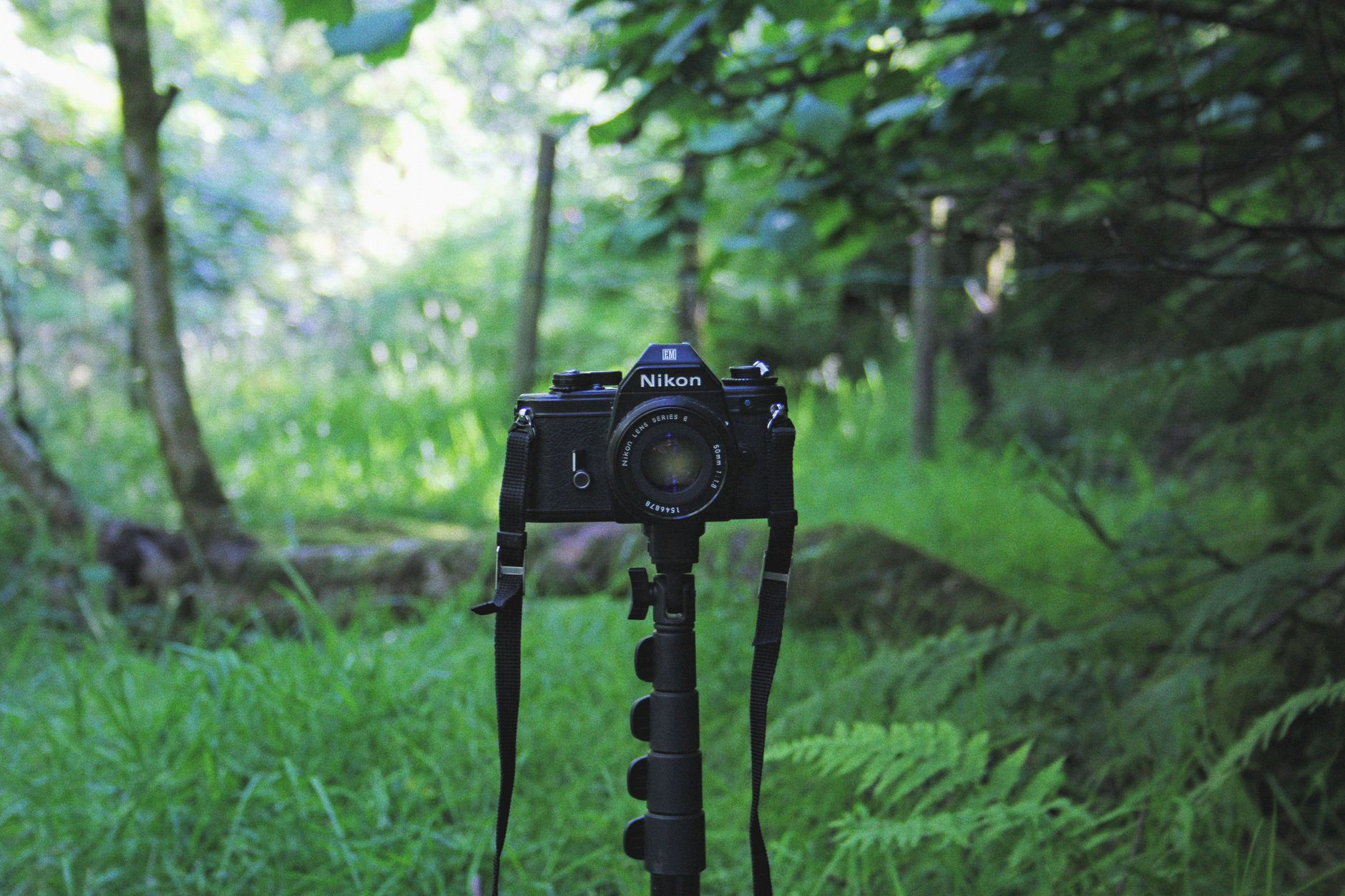 The Best Travel Tripod for Photographers in 2026: Compact Support That Doesn’t Compromise