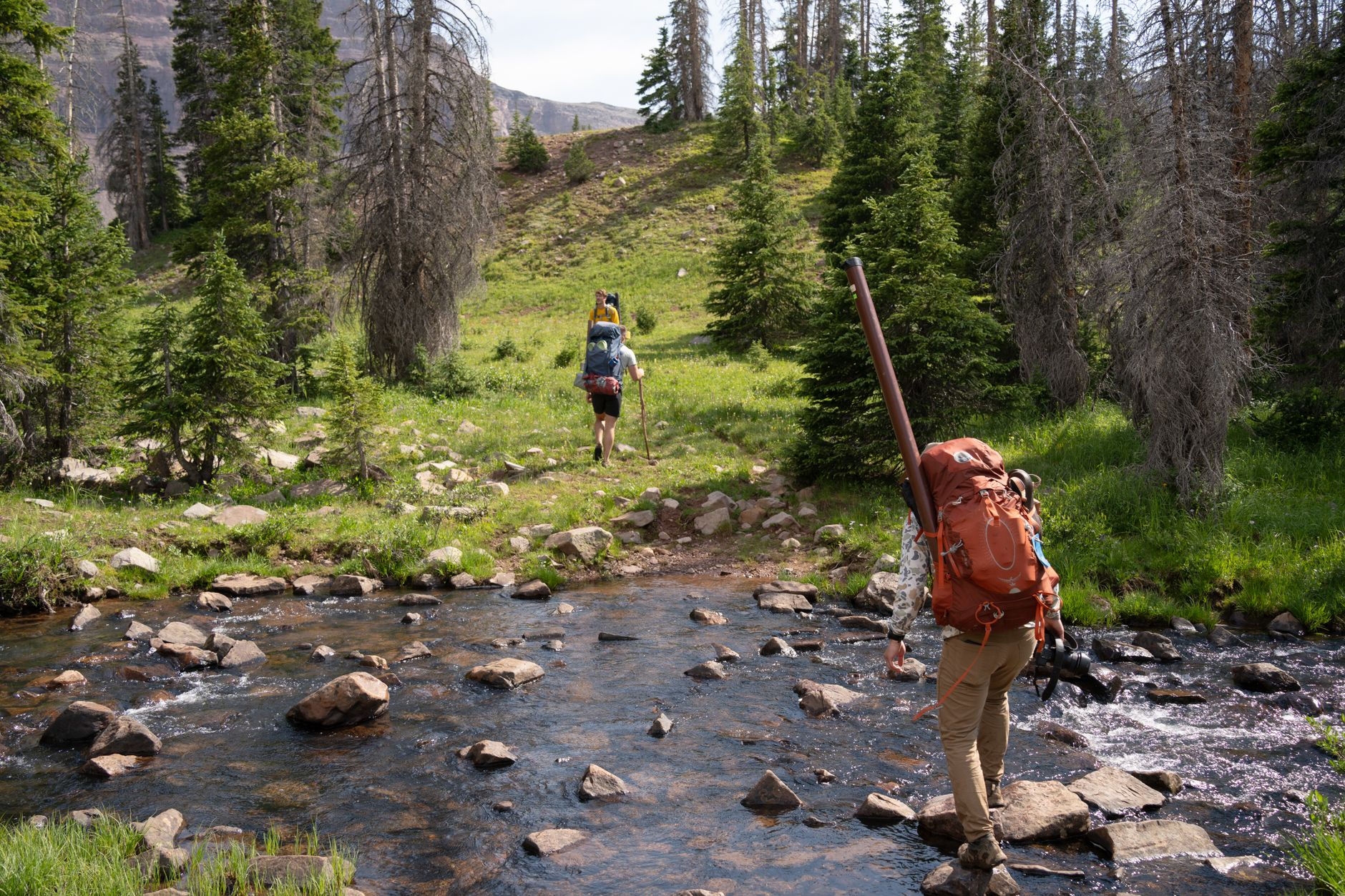 Why Dehydration Ruins Your Hikes and the $30 Filter That Changes Everything
